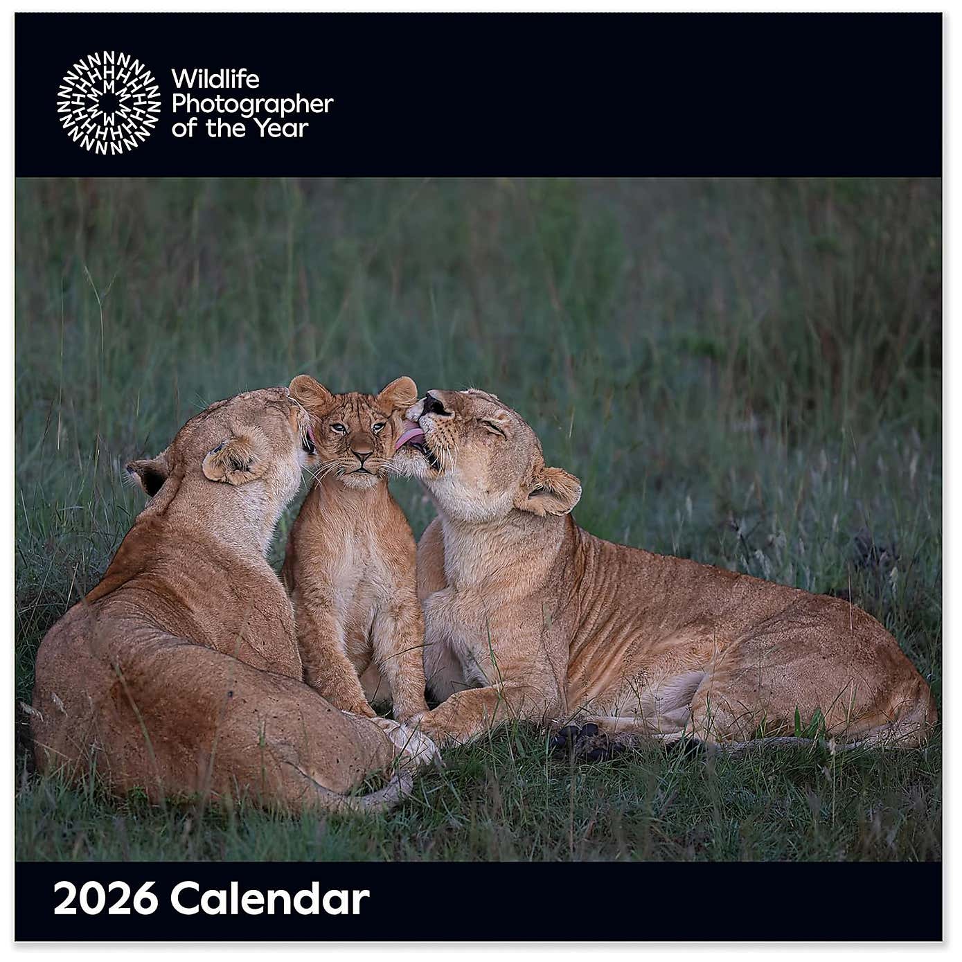 Carousel zoom image position 2 of 3