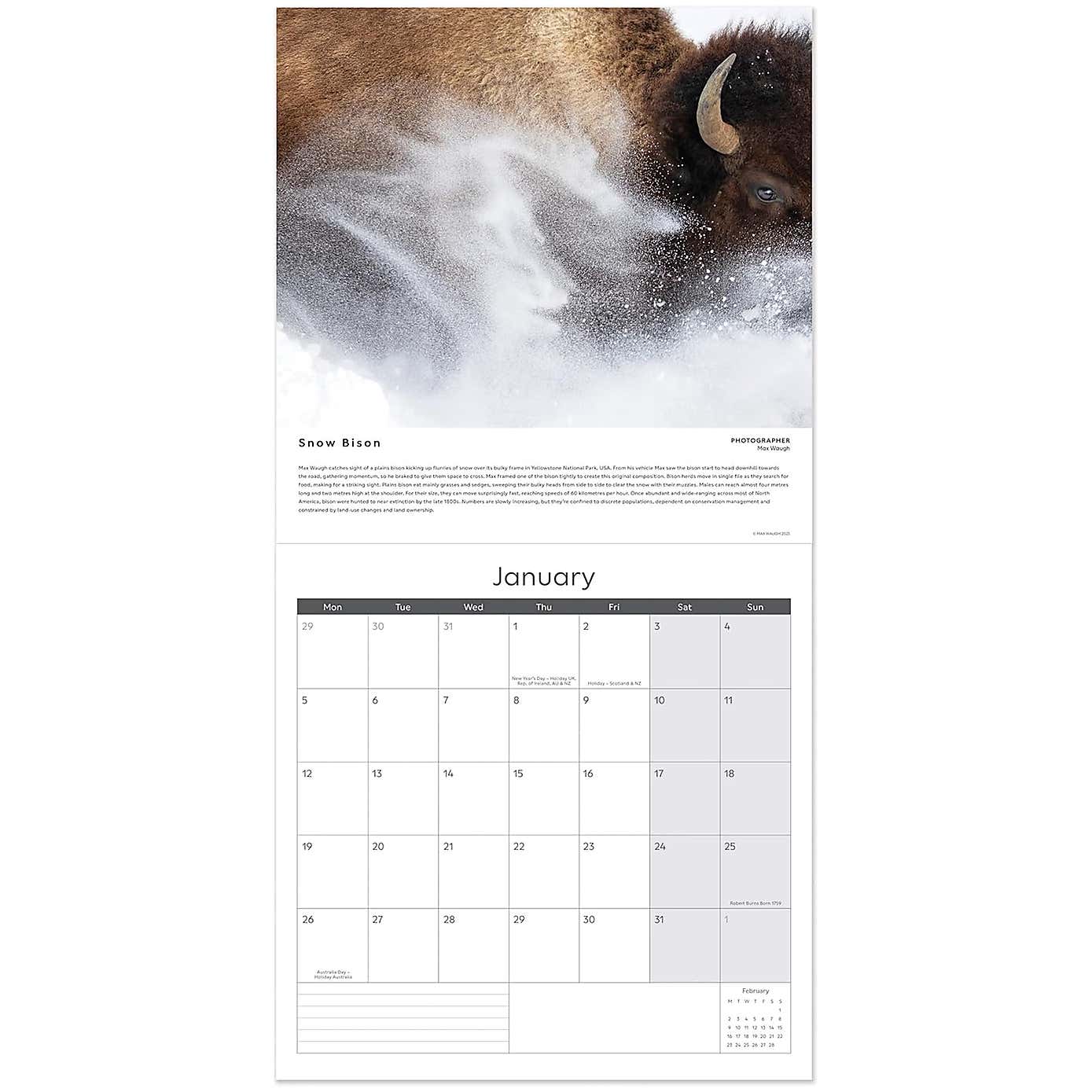 Carousel zoom image position 3 of 3