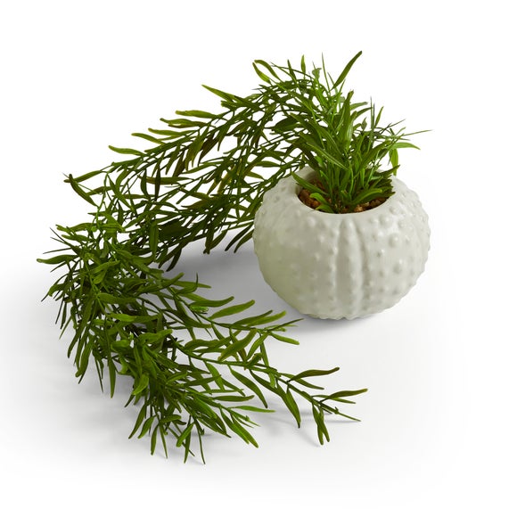 Carousel navigation image position 3 of 3