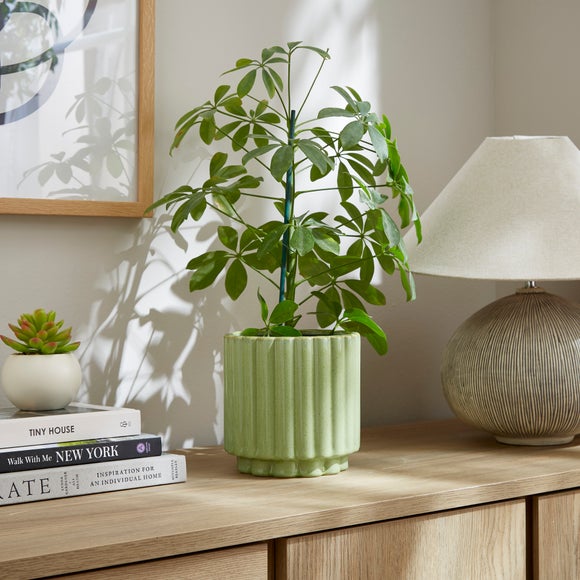 View Bubble Ridged Reactive Glaze Ceramic Plant Pot View Bubble Ridged Reactive Glaze Ceramic Plant Pot