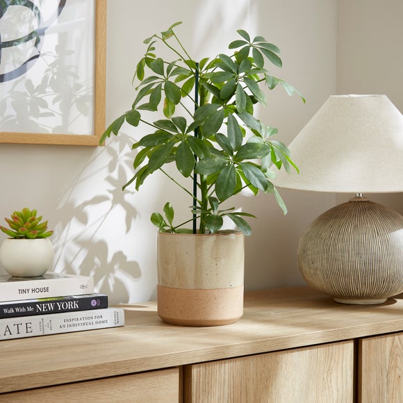 Speckled Reactive Glaze Ceramic Plant Pot