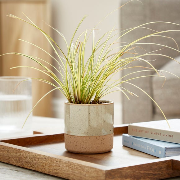 Click to view product details and reviews for Speckled Reactive Glaze Ceramic Plant Pot.