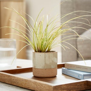 Speckled Reactive Glaze Ceramic Plant Pot