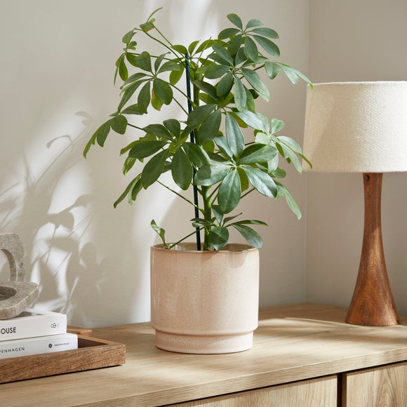 Click to view product details and reviews for Reactive Glaze Ceramic Plant Pot.