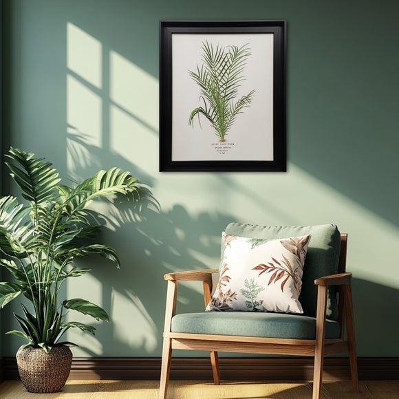Spiny Date Palm by Piddix Framed Print