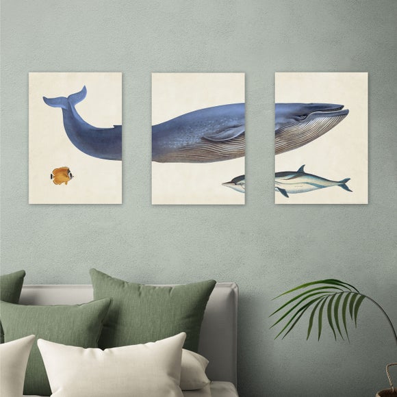 East End Prints Set of 3 Whale Prints
