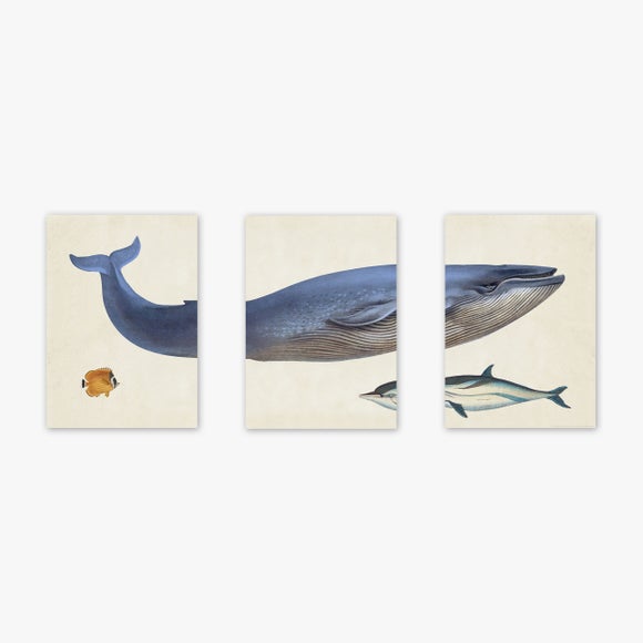 Carousel navigation image position 2 of 2