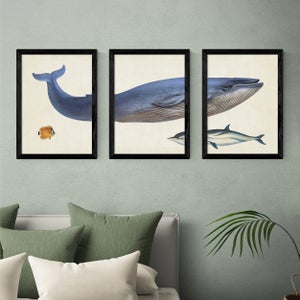 East End Prints Set Of 3 Whale Prints