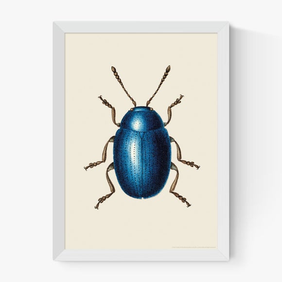 Carousel navigation image position 2 of 2