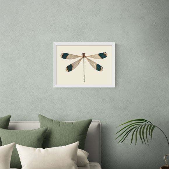 East End Prints British Dragonfly Print