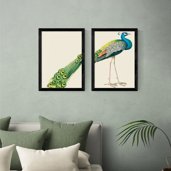 East End Prints Set of 2 Peacock Prints