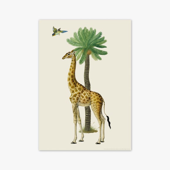 Carousel navigation image position 2 of 2