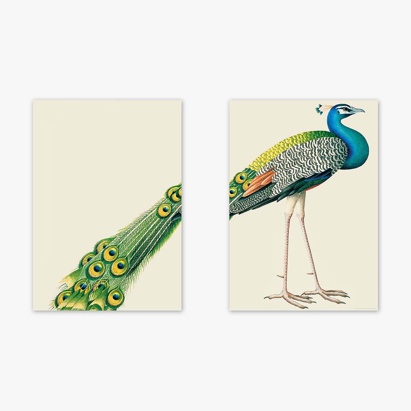 Carousel zoom image position 2 of 2