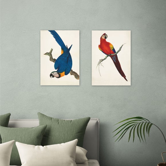 East End Prints Set of 2 Parrots Prints