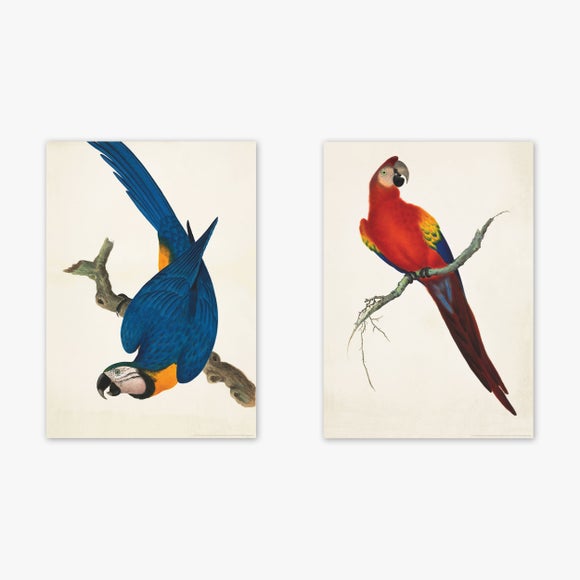 Carousel navigation image position 2 of 2