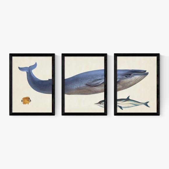 Carousel navigation image position 2 of 2