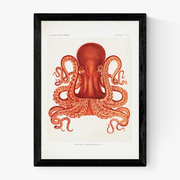 Carousel navigation image position 2 of 2