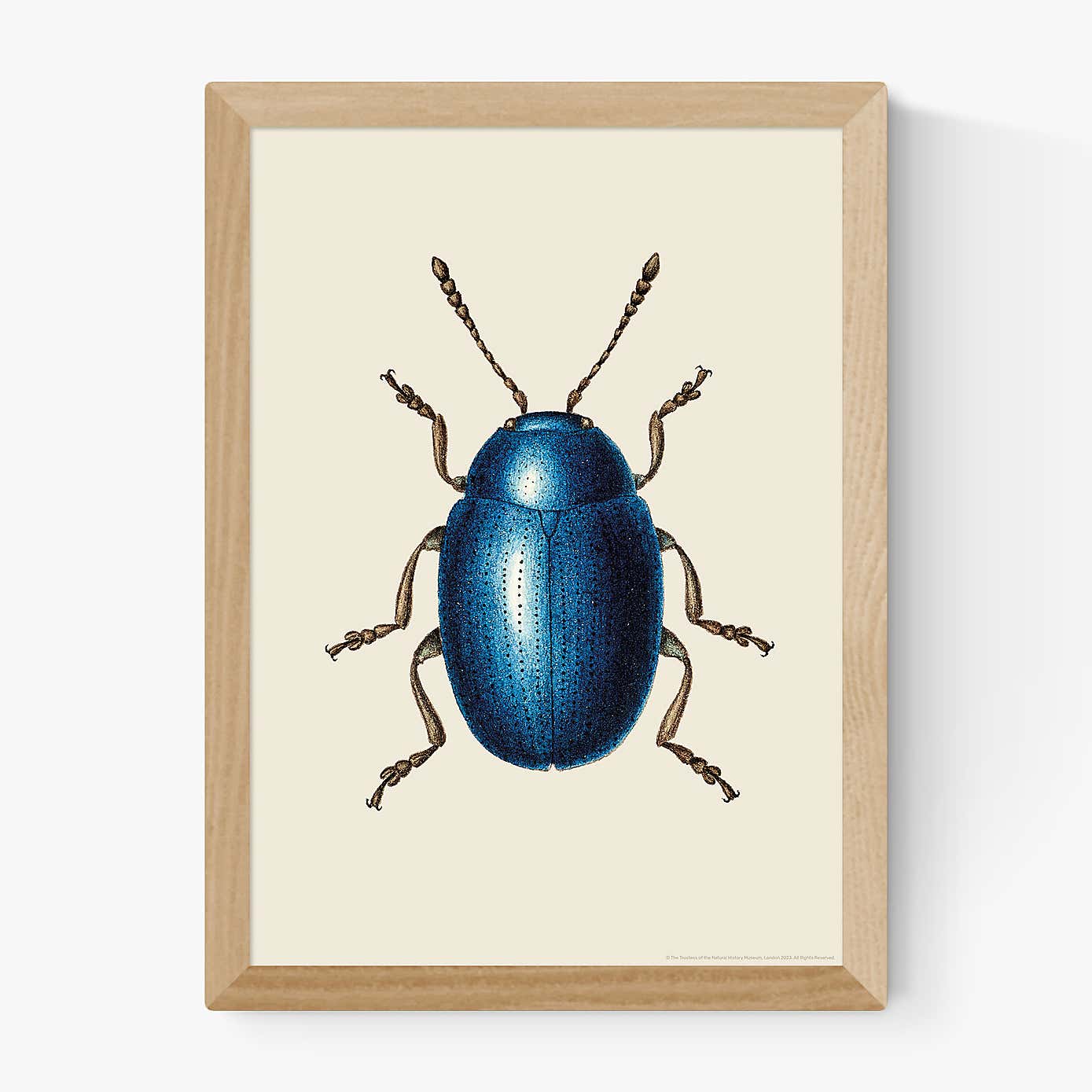 Carousel zoom image position 2 of 2