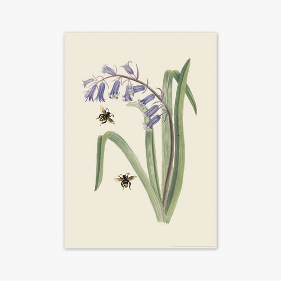 Carousel navigation image position 2 of 2