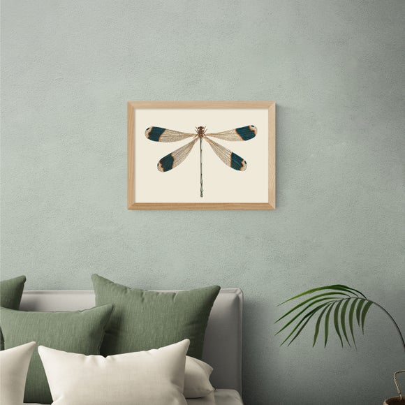East End Prints British Dragonfly Print