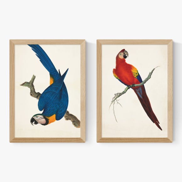 Carousel navigation image position 2 of 2