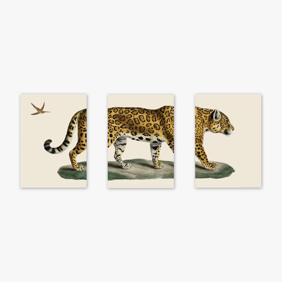 Carousel navigation image position 2 of 2