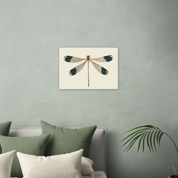 East End Prints British Dragonfly Print