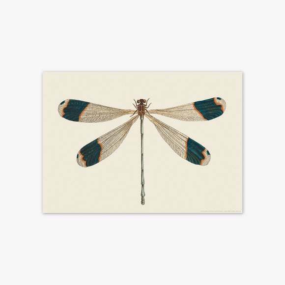 Carousel navigation image position 2 of 2