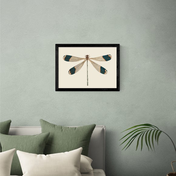 East End Prints British Dragonfly Print