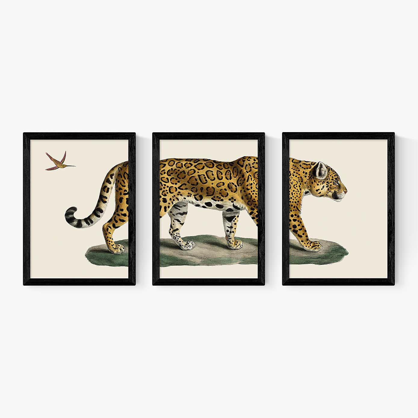 Carousel zoom image position 2 of 2