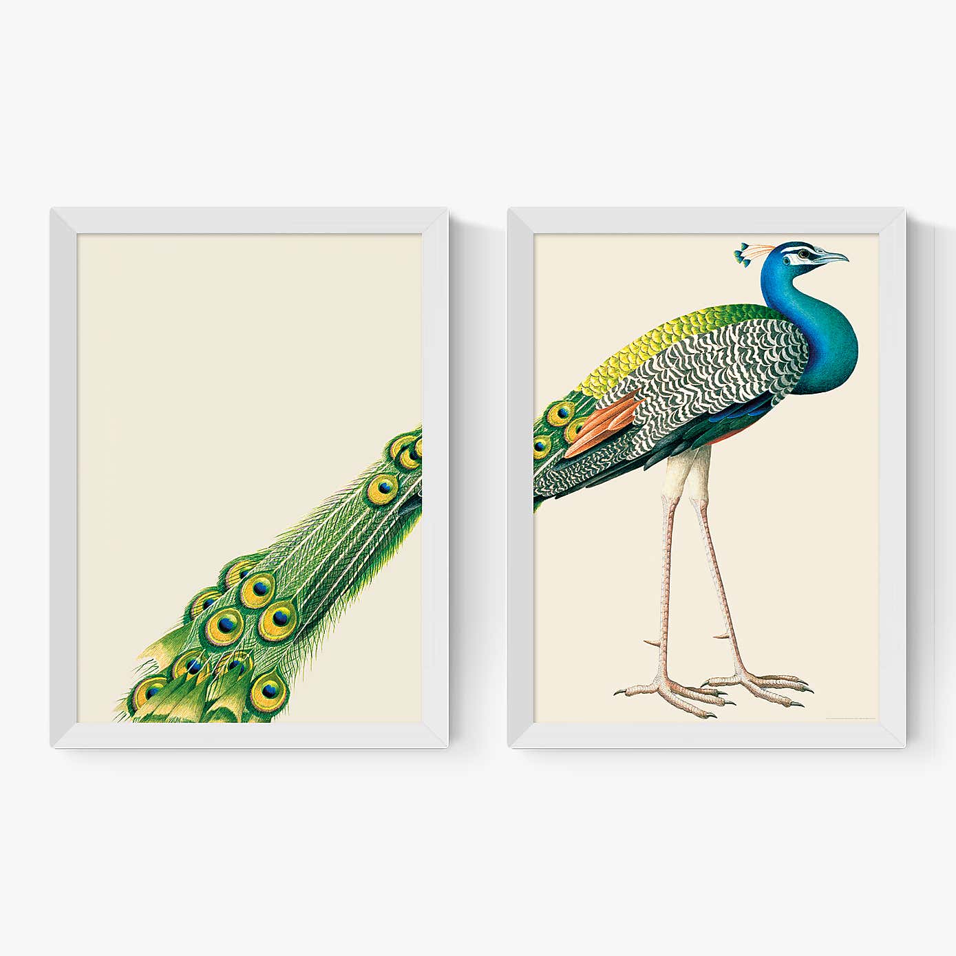 Carousel zoom image position 2 of 2