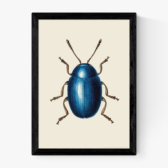 Carousel navigation image position 2 of 2