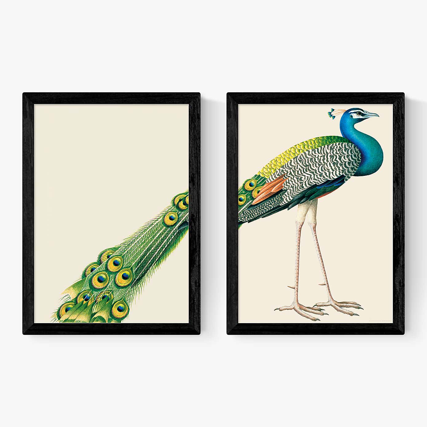 Carousel zoom image position 2 of 2