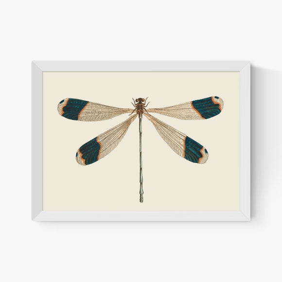 Carousel navigation image position 2 of 2