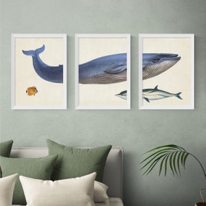 East End Prints Set Of 3 Whale Prints