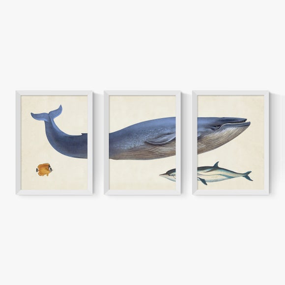 Carousel navigation image position 2 of 2