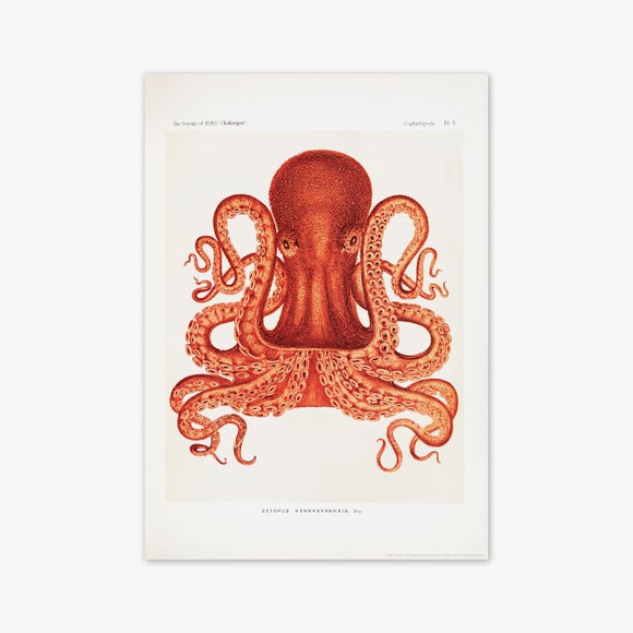 Carousel navigation image position 2 of 2