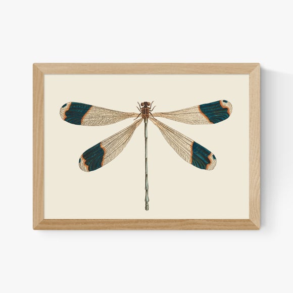 Carousel navigation image position 2 of 2