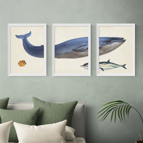 East End Prints Set Of 3 Whale Prints