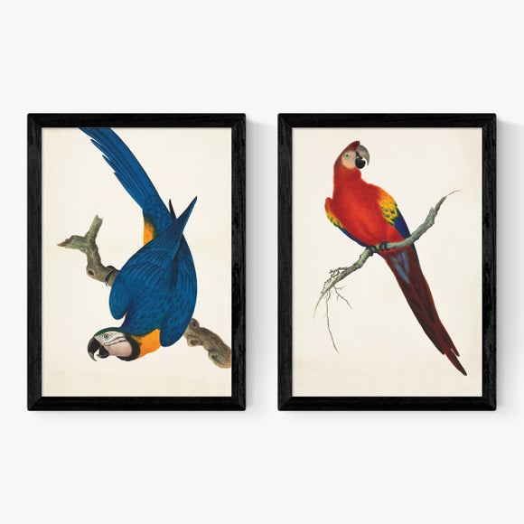 Carousel navigation image position 2 of 2