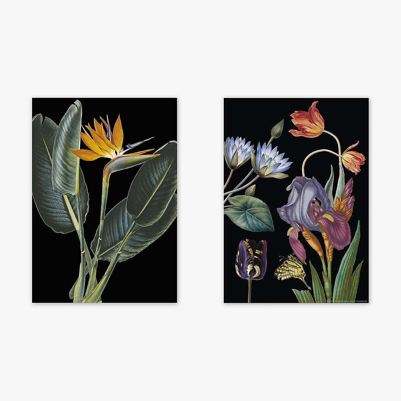 Carousel zoom image position 2 of 2