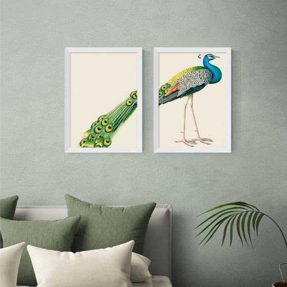 East End Prints Set Of 2 Peacock Prints