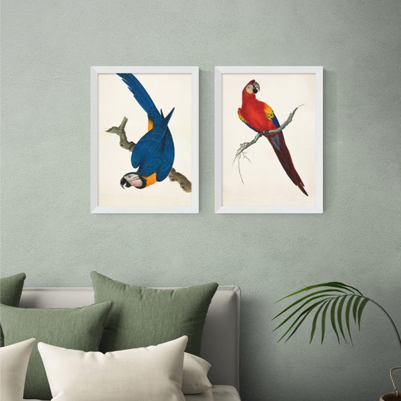 East End Prints Set of 2 Parrots Prints
