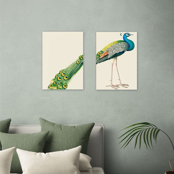 East End Prints Set Of 2 Peacock Prints