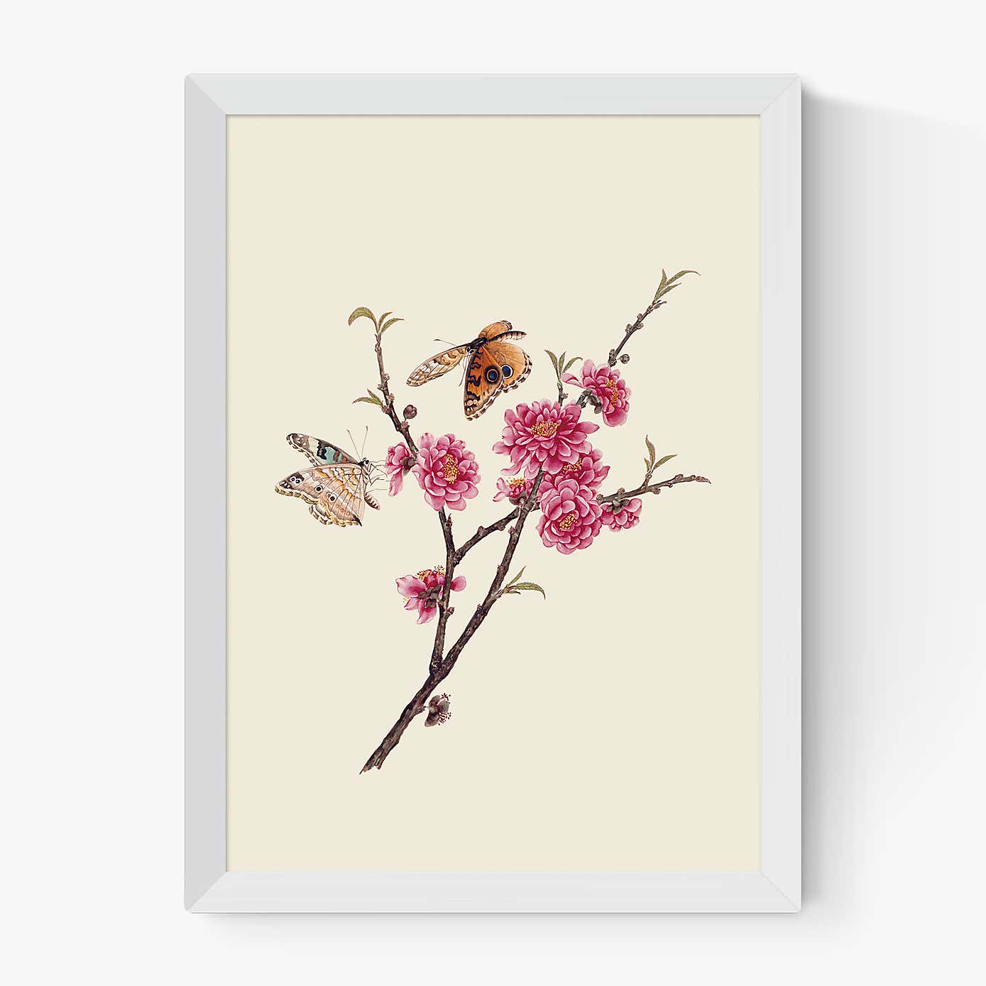 Carousel zoom image position 2 of 2