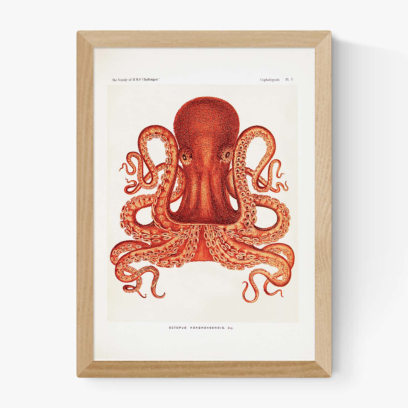 Carousel zoom image position 2 of 2