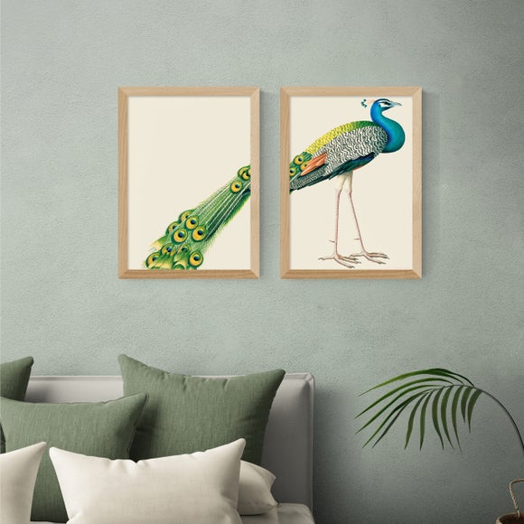 East End Prints Set Of 2 Peacock Prints