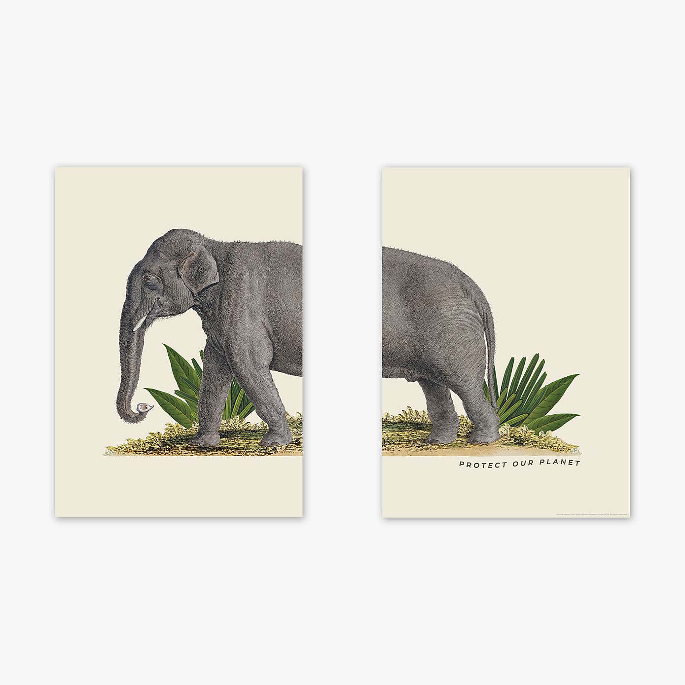 Carousel zoom image position 2 of 2