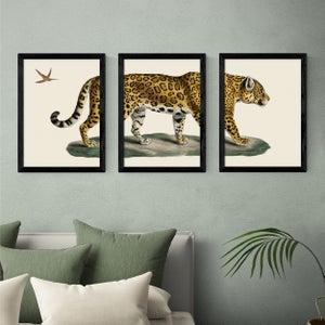 East End Prints Set Of 3 Jaguar Prints