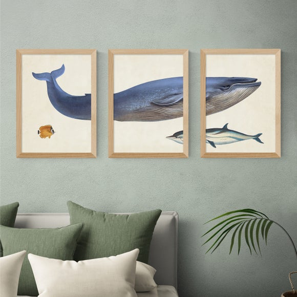 East End Prints Set of 3 Whale Prints